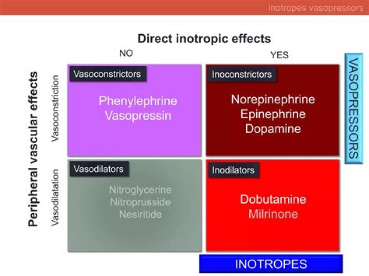 Are Inotropes vasodilators? | ContextResponse.com