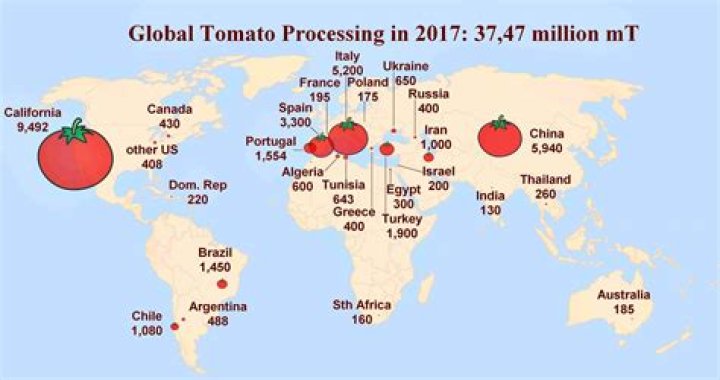 Are tomatoes native to Europe?