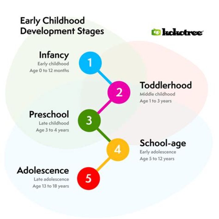 At what age does middle childhood occur?