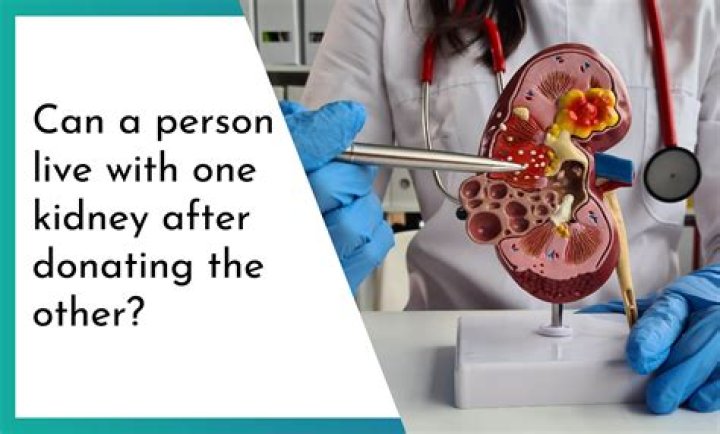 Can a person survive meningitis?