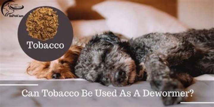 Can tobacco be used as a dewormer?
