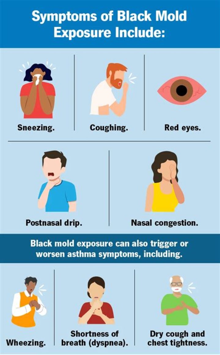 Can you get sick from inhaling mold spores?