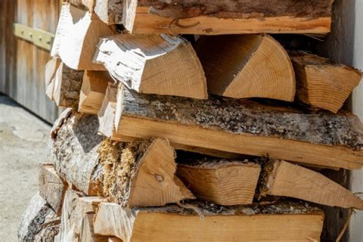 Can you store logs indoors?
