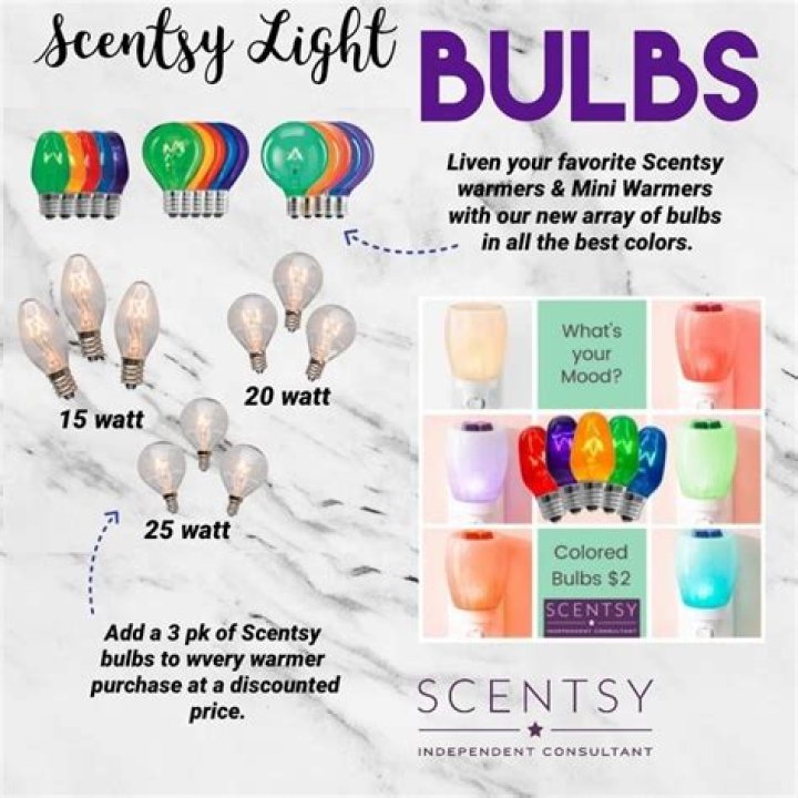 Can you use other light bulbs in Scentsy?