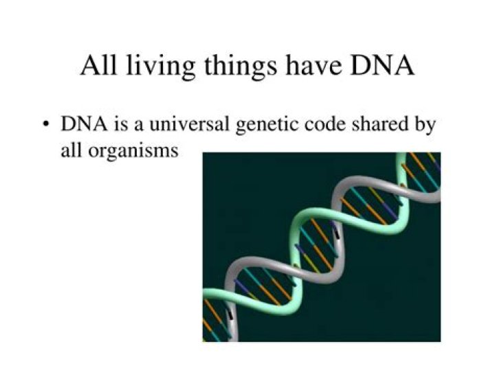 Do all living things have DNA?