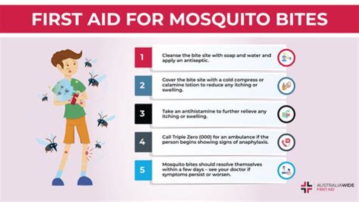 Do mosquito bits work? | ContextResponse.com