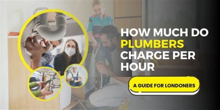 Do plumbers charge by the hour or job?