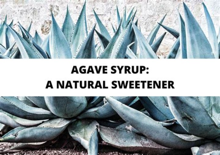 Does agave contain sugar? | ContextResponse.com