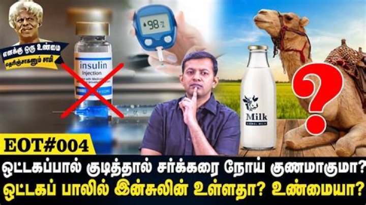 Does camel milk contain insulin?