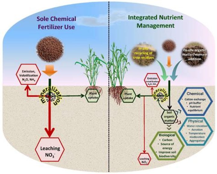 Does Fertilizer need rain to work?