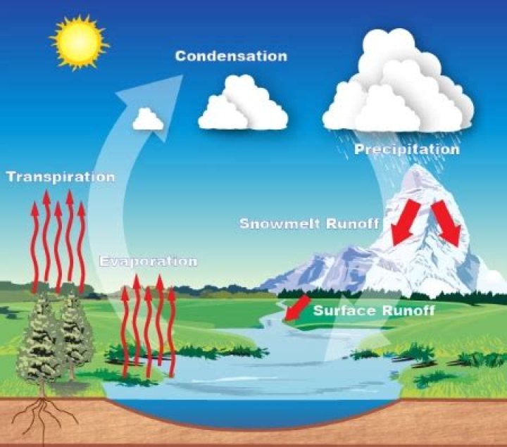 Does humidity cause precipitation?