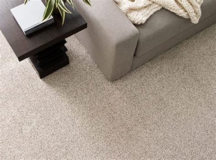 Does nylon carpet wear well?