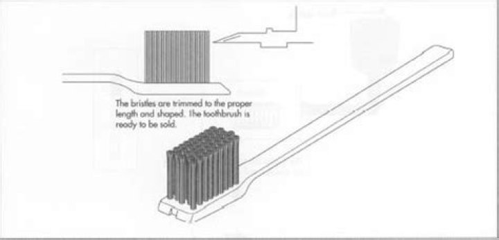 How are bristles attached to a toothbrush?