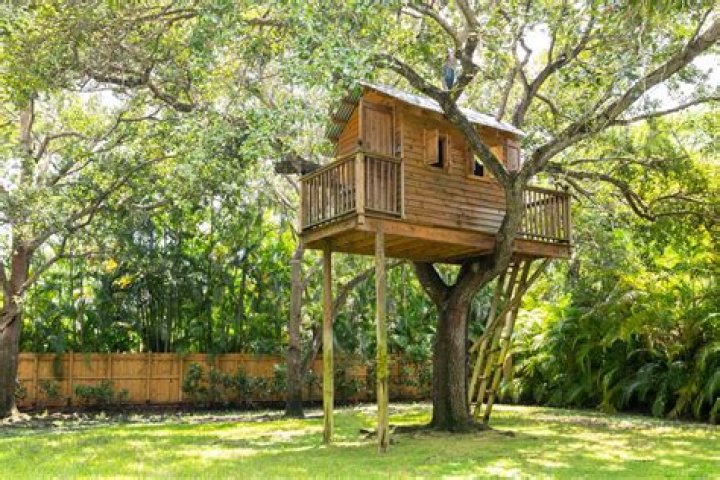 How big does a tree need to be for a treehouse?