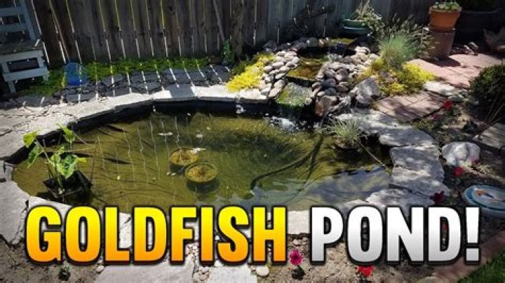 How big is a 500 gallon pond?