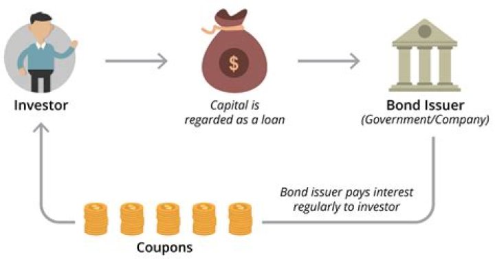 How do bond payments work?
