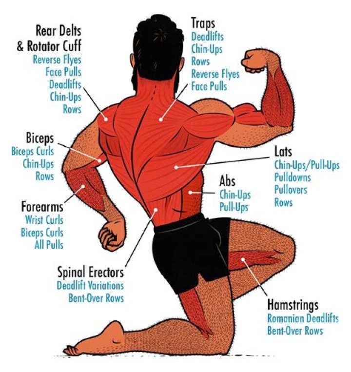 How do I stop pulling my back muscles?
