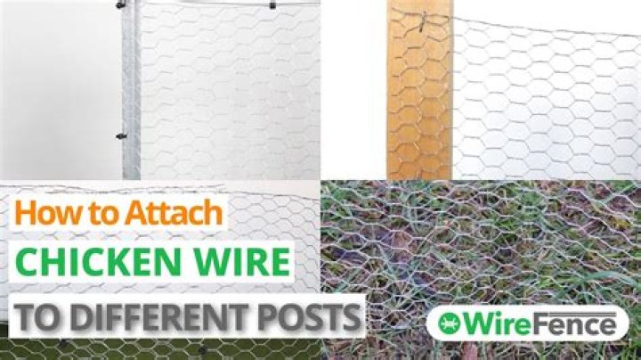 How do you attach chicken wire to wooden post?