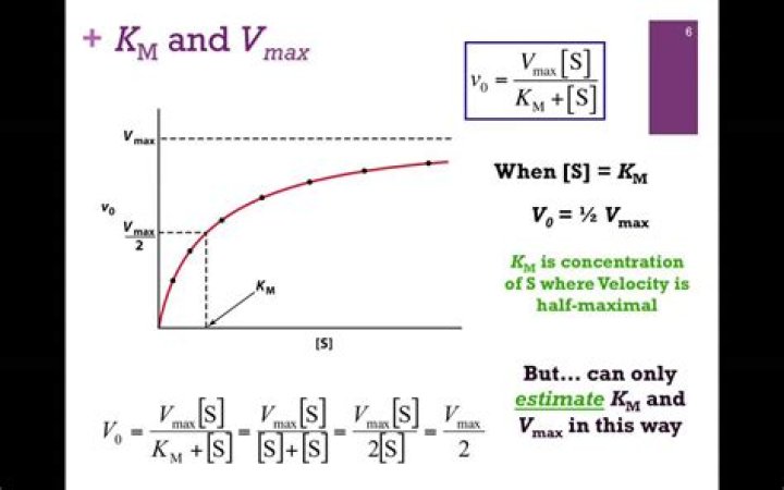 How do you calculate Km and Vmax?