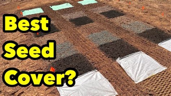 How do you cover grass seed?