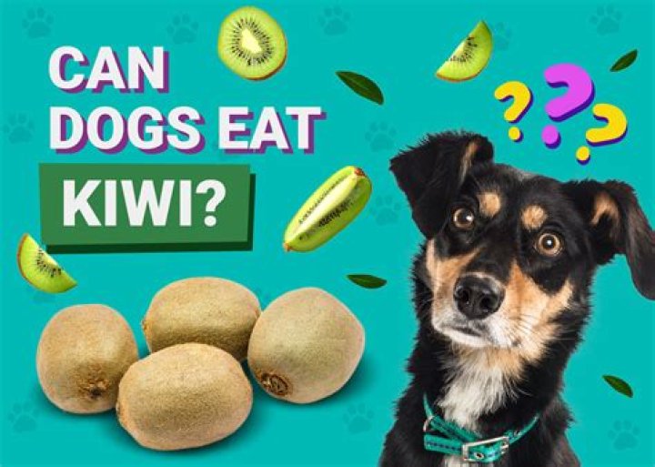 How do you eat permission fruit?