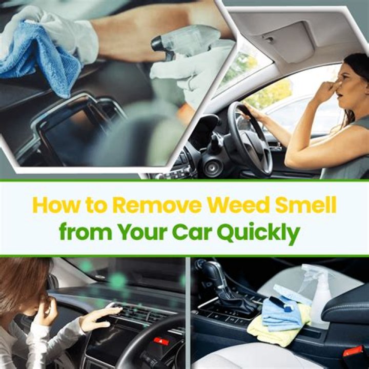 How do you get the smell of red wine out of a car?