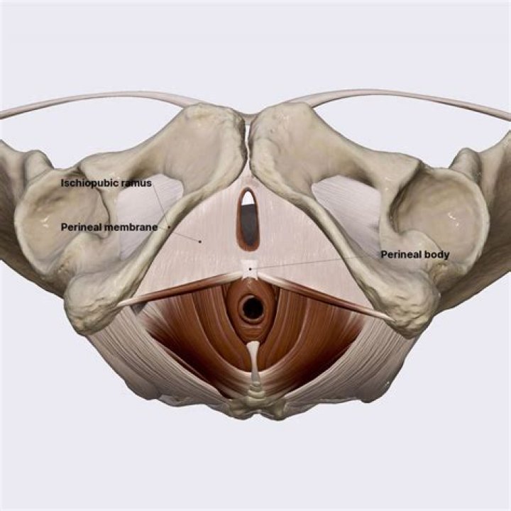 How do you give a woman perineal?