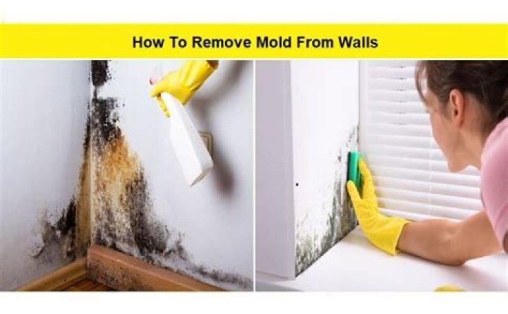 How do you remove Mould from walls permanently?