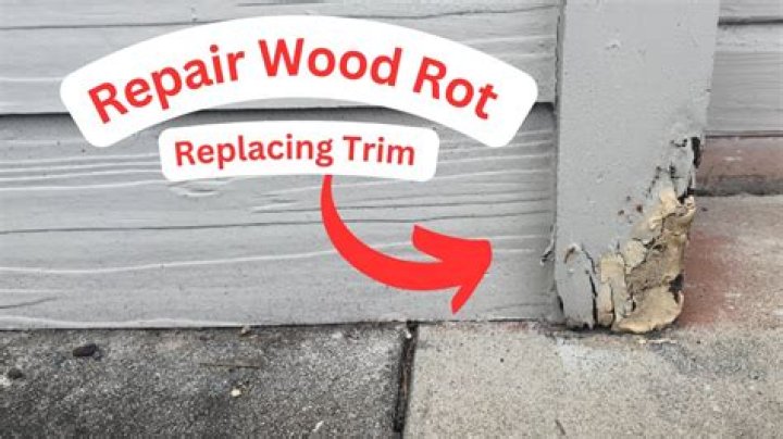 How do you repair rotten wood in a house?