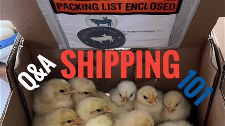 How do you ship fresh food?