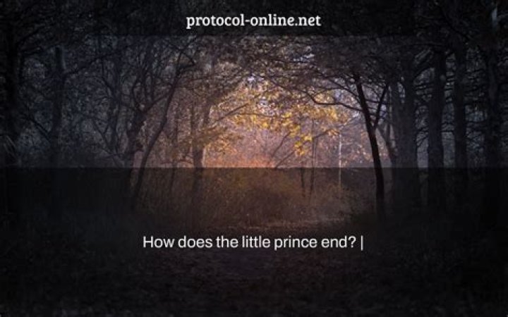 How does the little prince end?