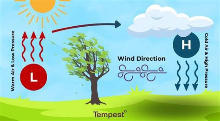 How does wind affect landscapes?