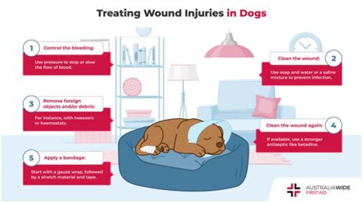 How long does it take for a dog to get rid of a cold?