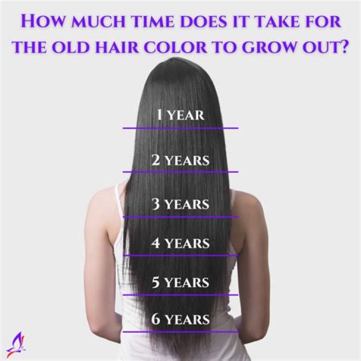 How long does it take for maltipoo hair to grow back?