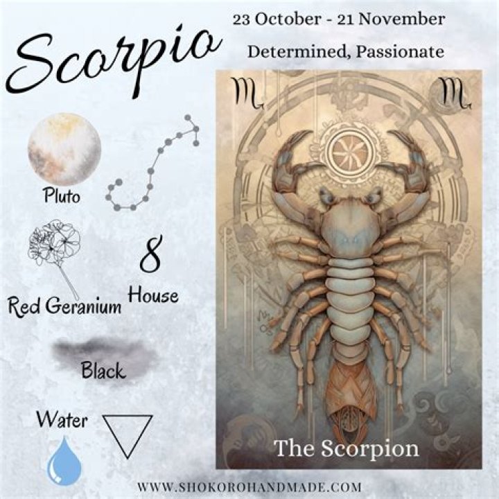 How many cc is a Scorpio?