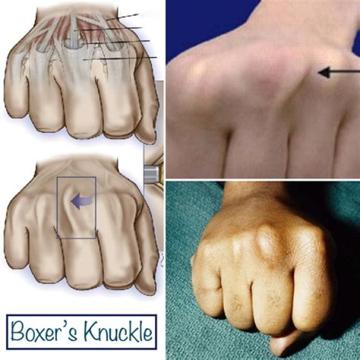 How much do boxers train?