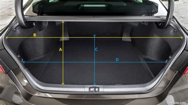 How wide is a belt?