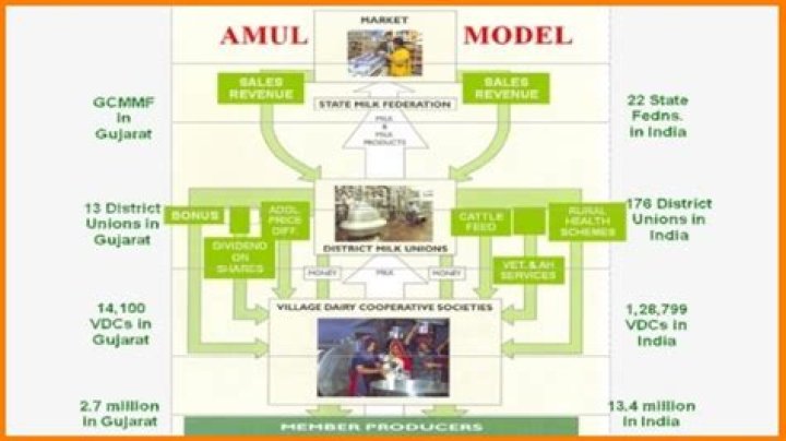 Is Amul a consumer cooperative society?