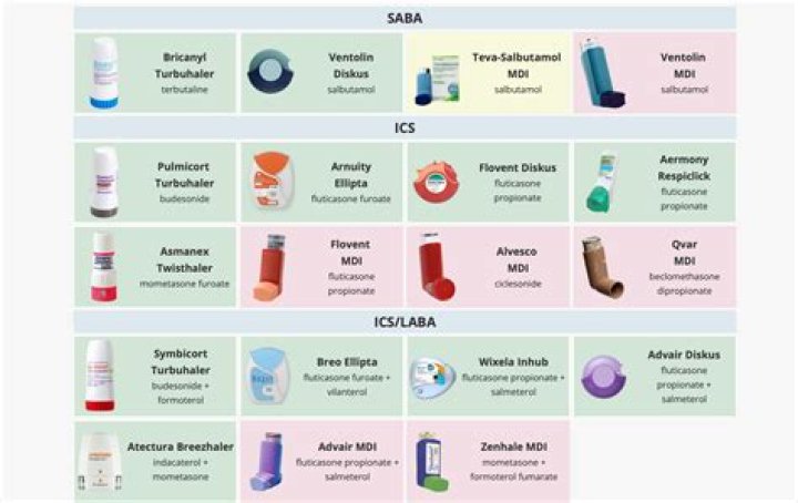 Is asmanex a bronchodilator? | ContextResponse.com