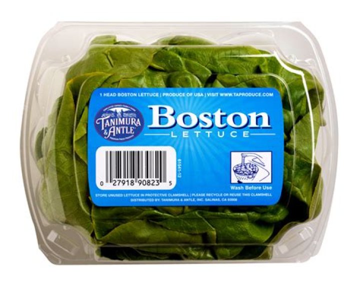 Is Boston lettuce safe to eat?