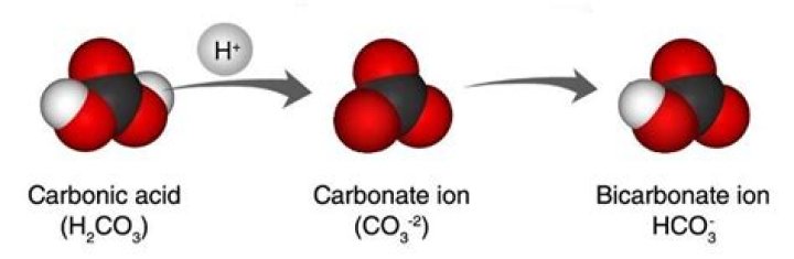 Is co3 an acid?