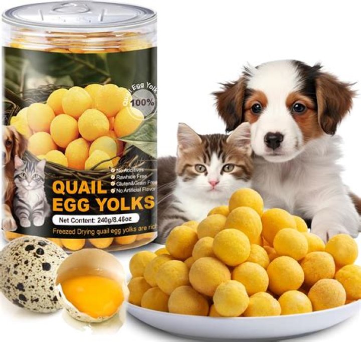 Is egg yolk OK for cats?