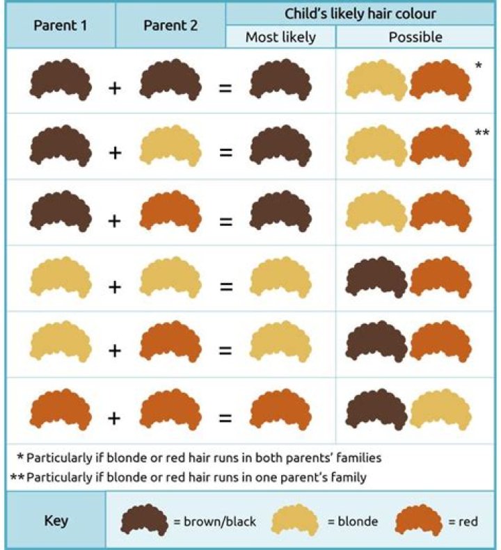 Is hair Colour genetic or environmental?