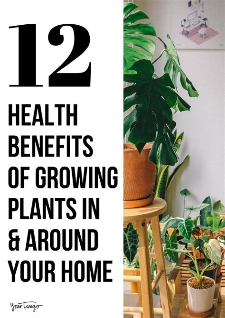 Is having plants in your house good?