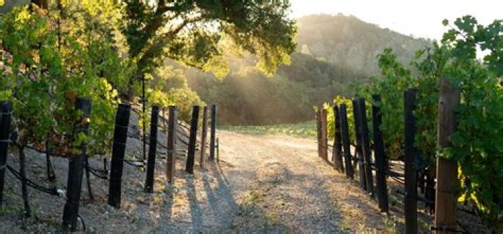 Is Napa or Sonoma better?
