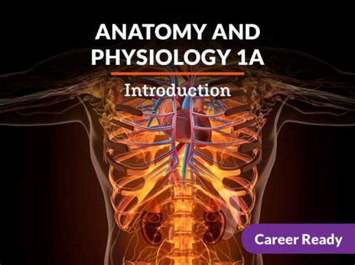 Is observation a physiology or anatomy?