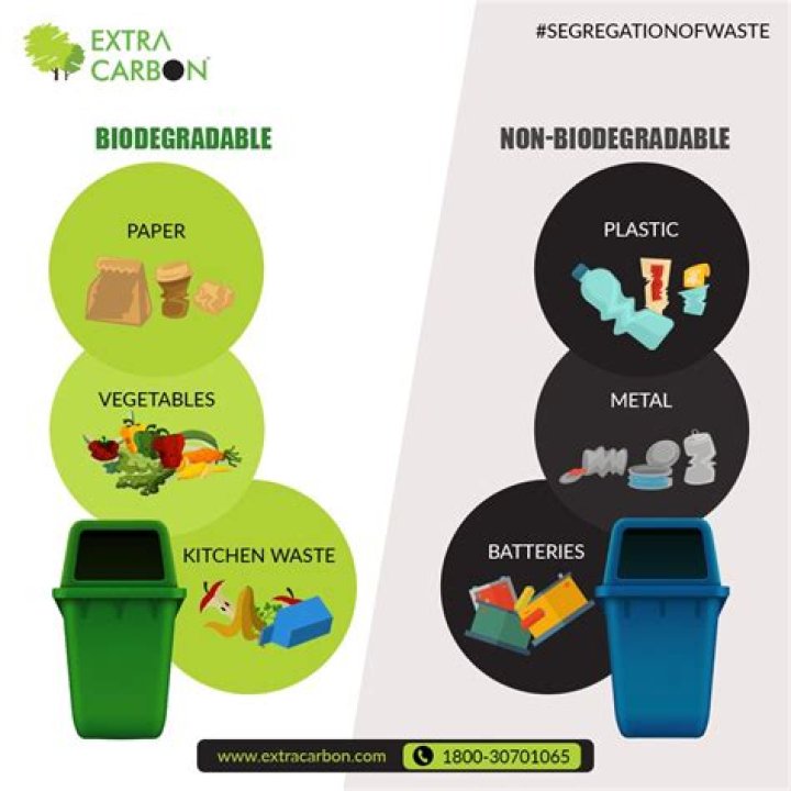 Is paper biodegradable or nonbiodegradable?