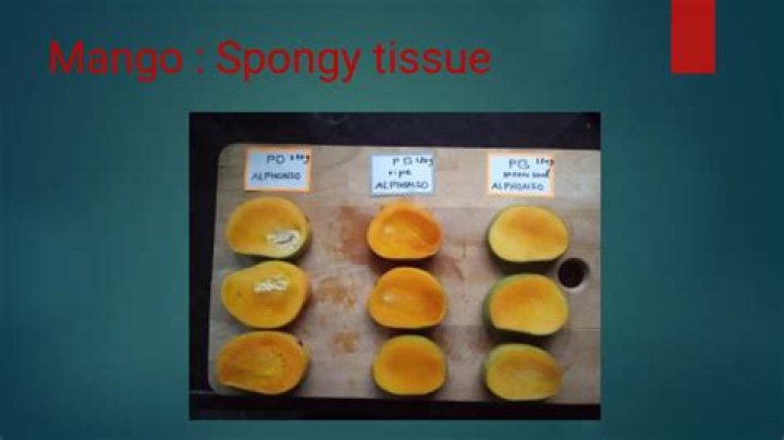 Is spongy tissue in mango safe to eat?