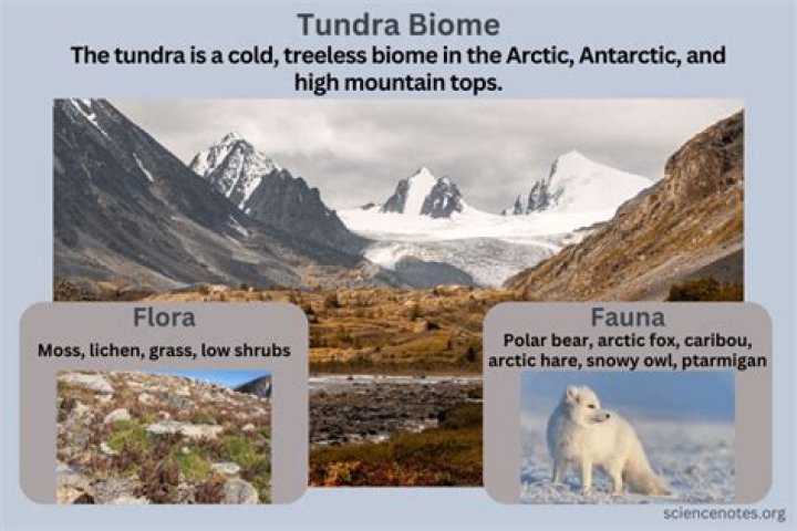 Is the Tundra the smallest biome?