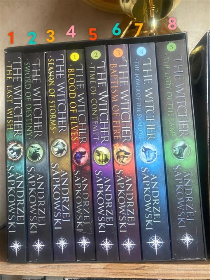Is the Witcher books worth reading?